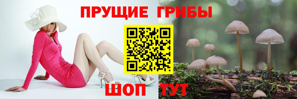 Вольск  Галлюциногенные грибы Cubensis  Вход с VPN  Псилоцибиновые грибы Magic Shrooms 